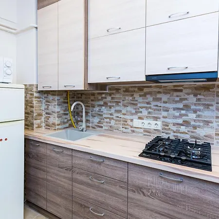 2 Kn. Romana Apartment Lviv