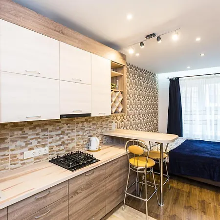 Lejlighed 2 Kn. Romana Lviv